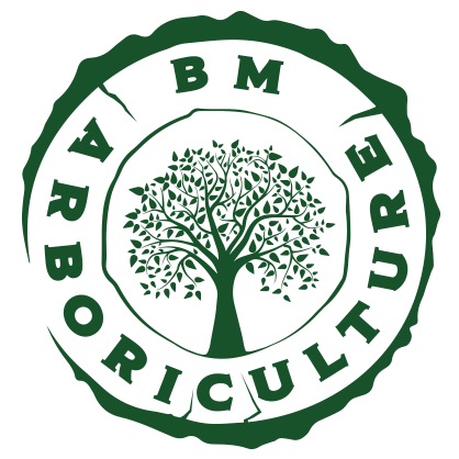 BM Arboriculture